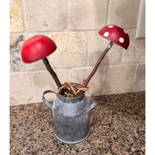 Treasure Valley Garden Workshop