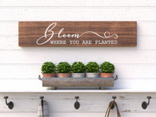 Spring & Easter Collection - Planks