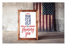 Americana Collection- Large Framed Signs
