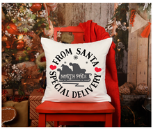 HOLIDAY COLLECTION-Pillows